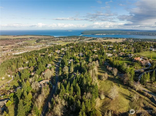 a view of a city with lush green forest