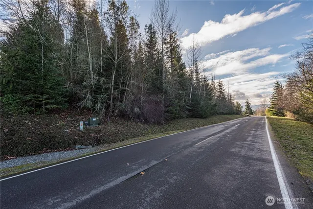 a green field with lots of trees