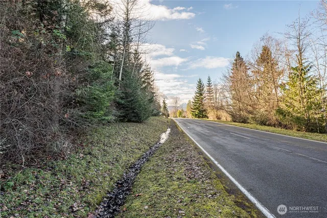 a view of a yard with a tree