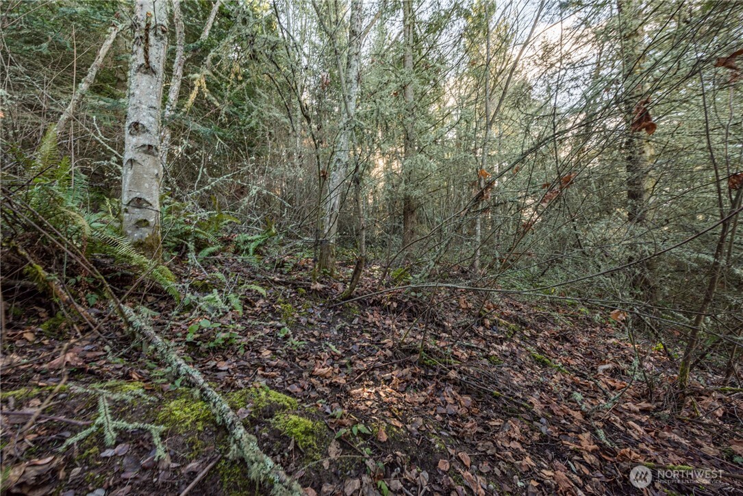 2 Owls Nest Road Sequim, WA 98382 - Photo 29 of 35 Gallery Image 29
