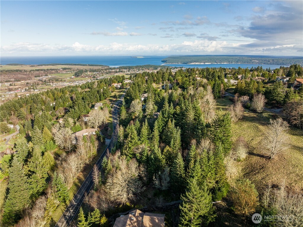 2 Owls Nest Road Sequim, WA 98382 - Photo 3 of 35 Gallery Image 3