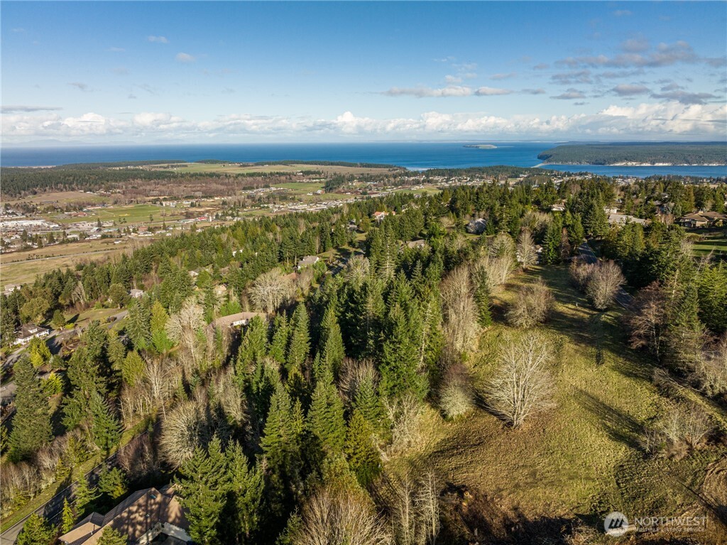 2 Owls Nest Road Sequim, WA 98382 - Photo 6 of 35 Gallery Image 6