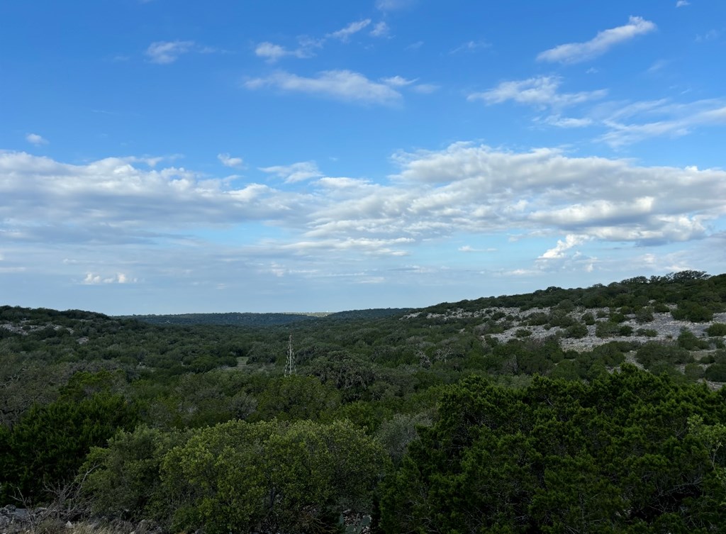 1271 SD 45963 Rocksprings, TX 78880 - Photo 11 of 15