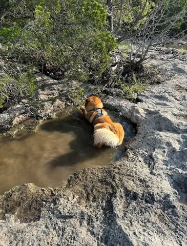 a view of a lake from a floor