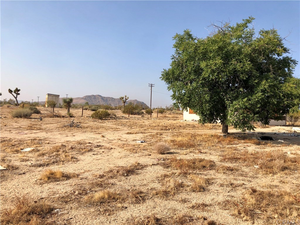 2985 Foxy Flats Road Joshua Tree, CA 92252 - Photo 8 of 21