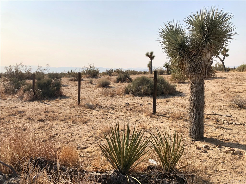 2985 Foxy Flats Road Joshua Tree, CA 92252 - Photo 10 of 21
