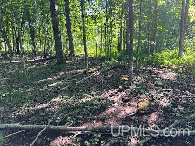 11.6 Acres Off Remington Road Marquette, MI 49855 - Photo 21 of 39