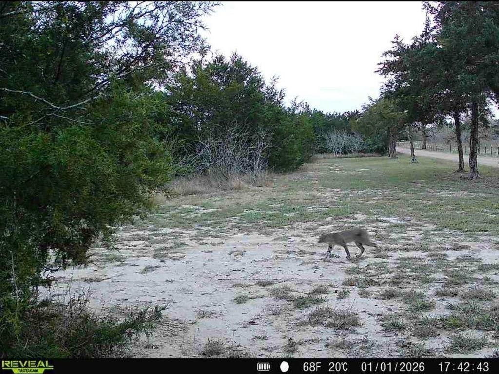 10791 Roy Road Flatonia, TX 78941 - Photo 26 of 29 Gallery Image 26