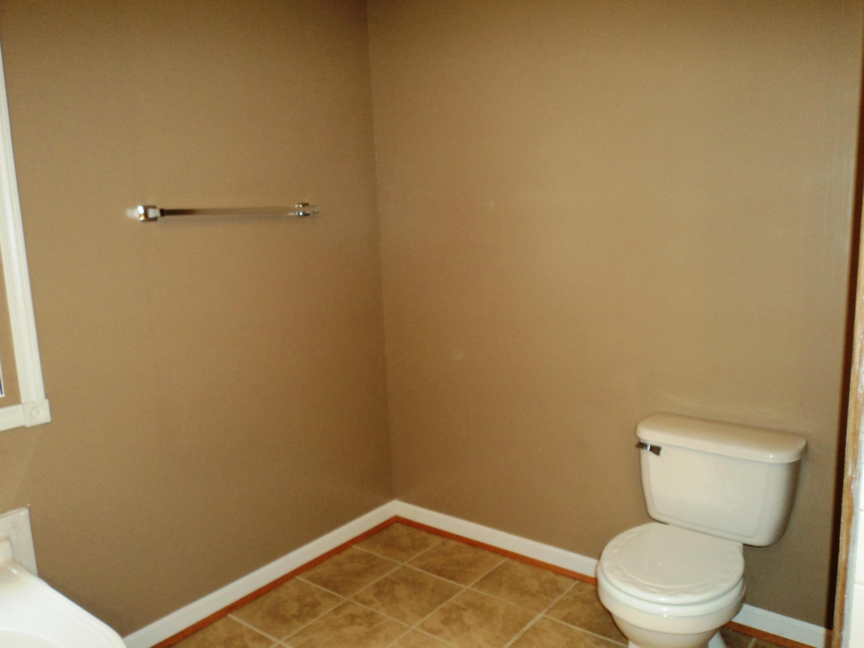 1290 Flint Hill Road Moneta, VA 24121 - Photo 18 of 34 Master Bath
