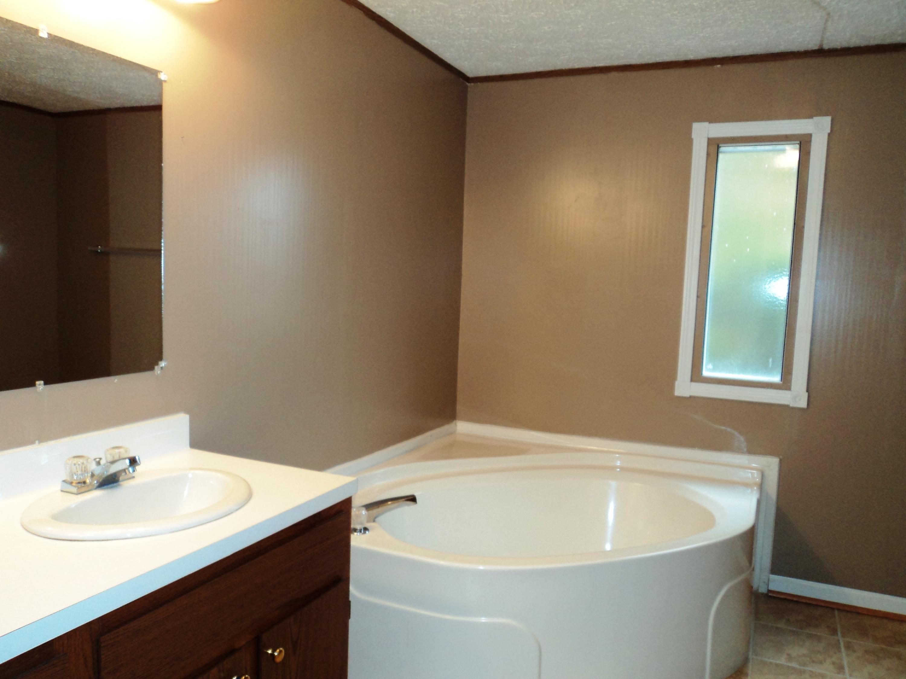 1290 Flint Hill Road Moneta, VA 24121 - Photo 22 of 34 Master Bath