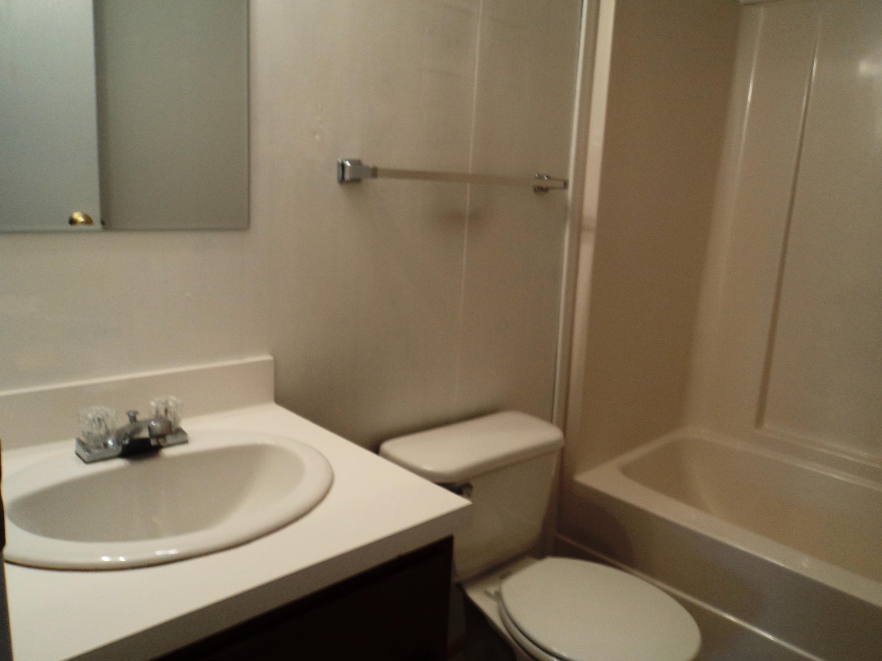 1290 Flint Hill Road Moneta, VA 24121 - Photo 6 of 34 Hall Bath