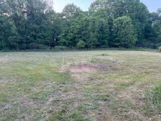 land