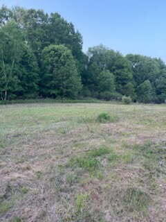 3873 West 136th Street Grant, MI 49327 - Photo 10 of 10 image000000 (4)