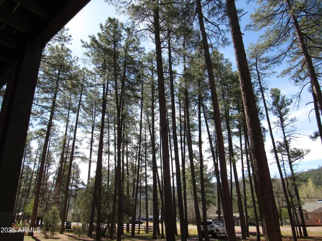 $825,000 | 9016 West Fossil Creek Road, Pine, AZ 85544