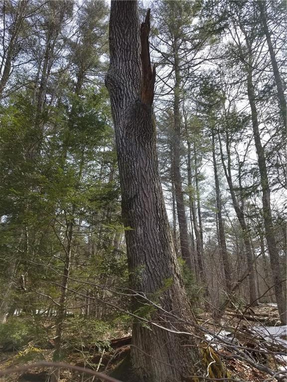 Tbd Tbd Head Tide Hill Road Whitefield, ME 04353 - Photo 18 of 20 Photo
