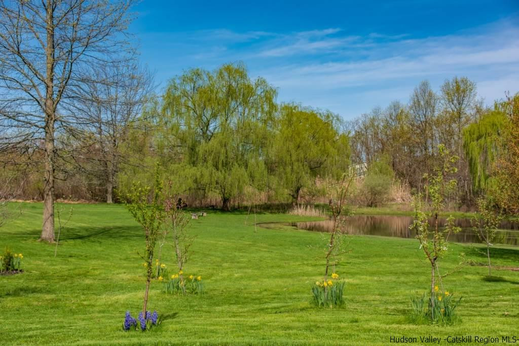 46 Patura Road Modena, NY 12548 - Photo 11 of 26 a garden with trees in the background