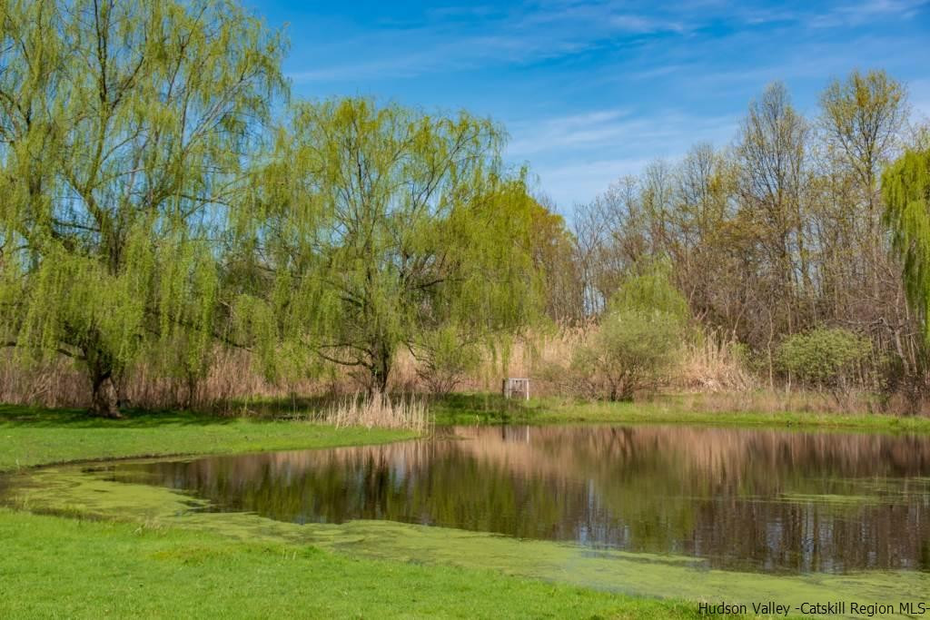 46 Patura Road Modena, NY 12548 - Photo 3 of 26 a view of a lake with a yard and large trees