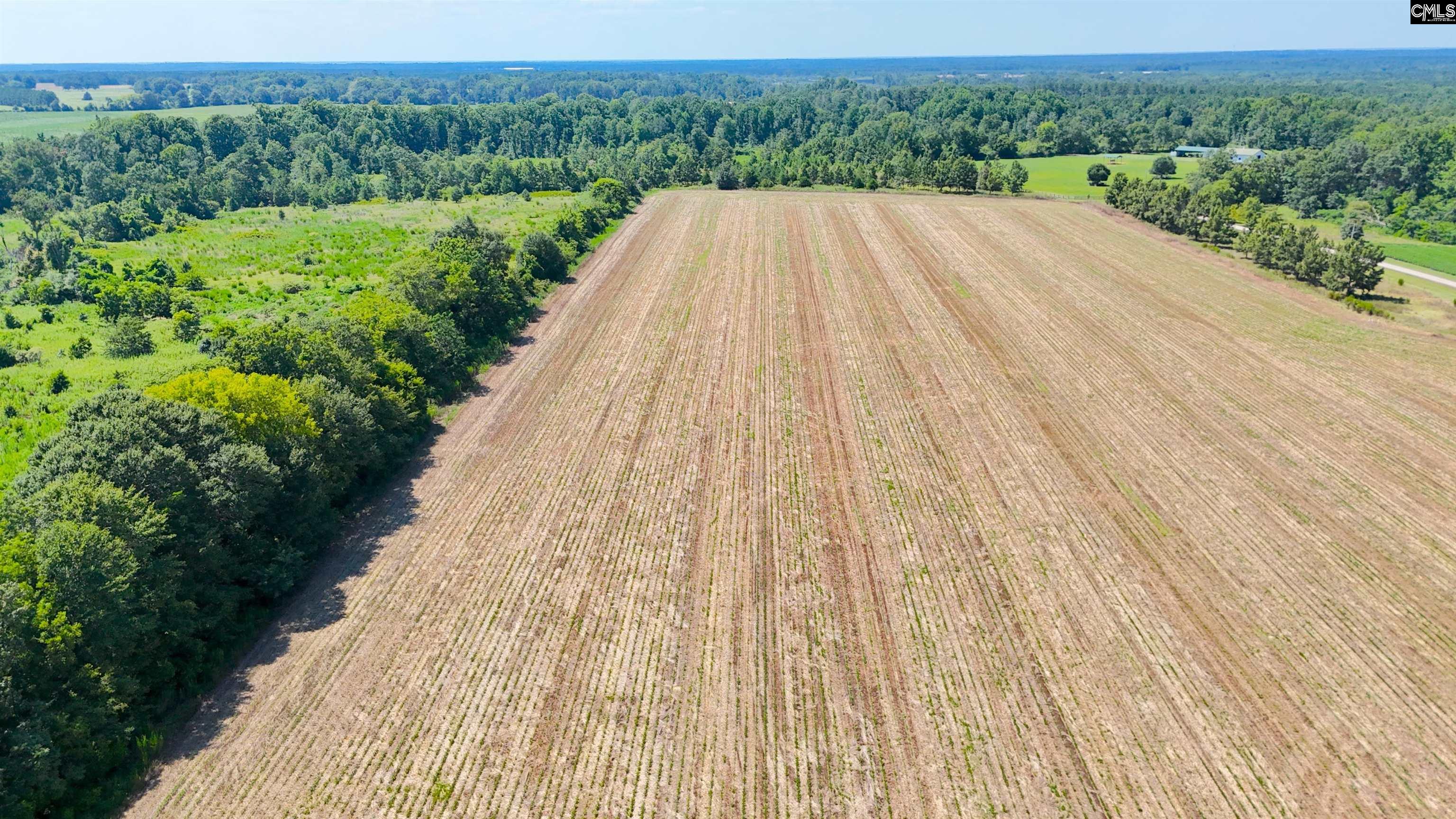 0 Joes Trail Road Monetta, SC 29105 - Photo 9 of 11