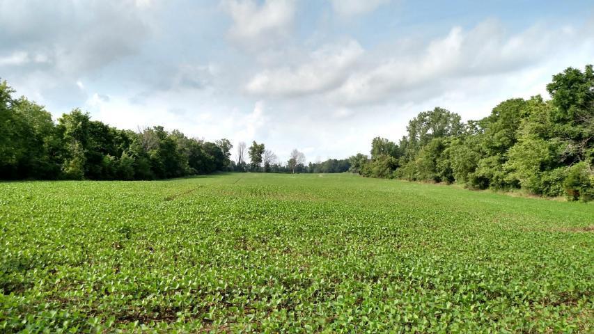 0 Refugee Road Northwest, Unit LOT A Baltimore, OH 43105 - Photo 2 of 7