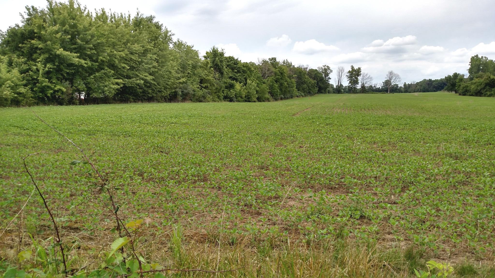 0 Refugee Road Northwest, Unit LOT A Baltimore, OH 43105 - Photo 4 of 7
