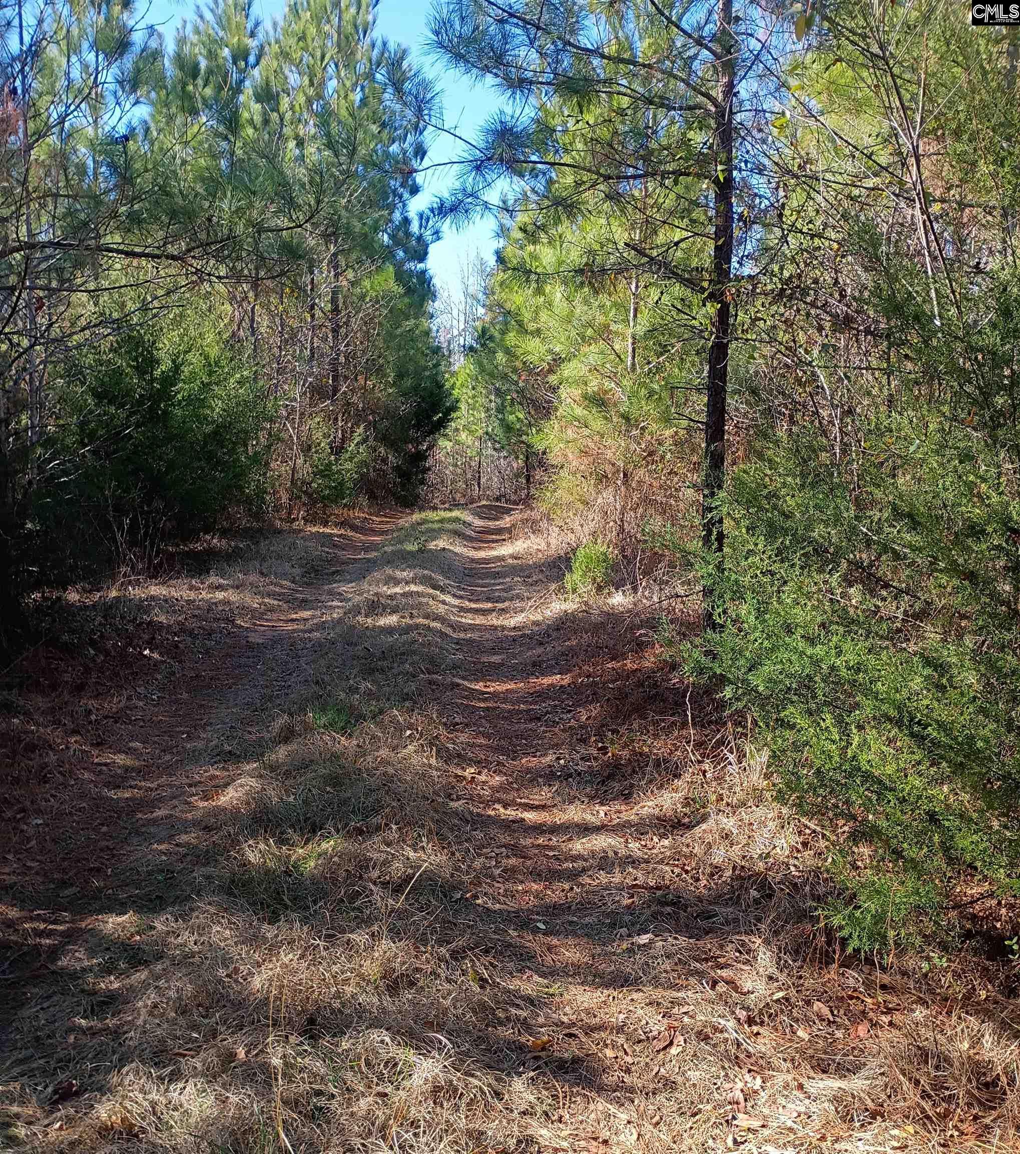 1163 June Berry Road Camden, SC 29020 - Photo 13 of 20