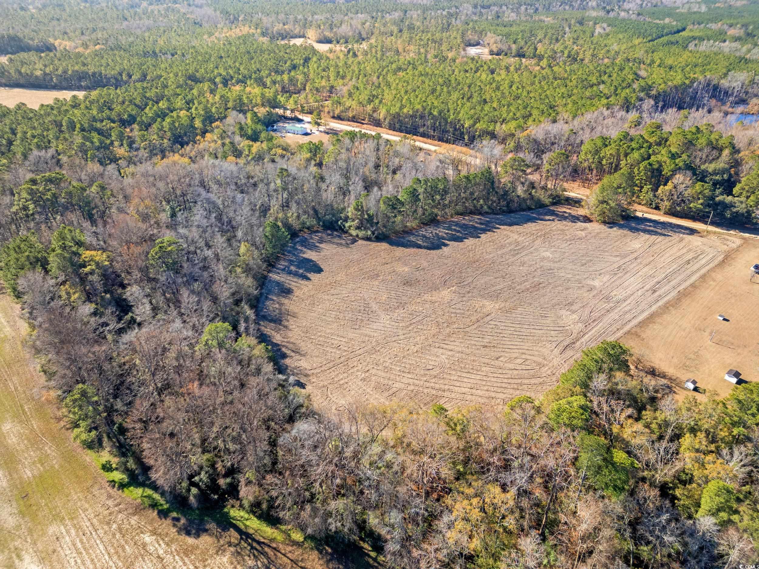 Tbd Watts Road Loris, SC 29569 - Photo 3 of 8