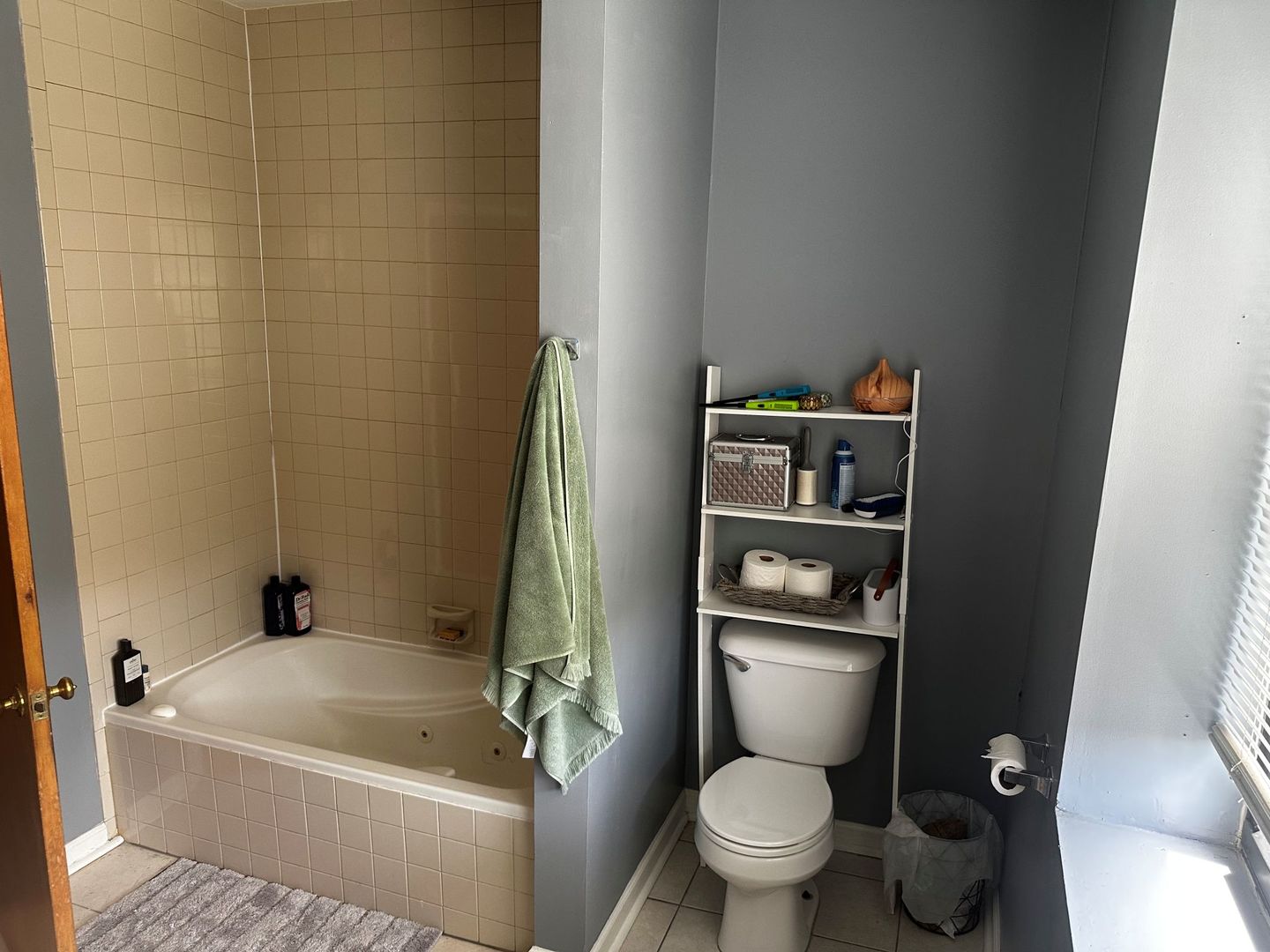 4014 South Drexel Boulevard, Unit 4R Chicago, IL 60653 - Photo 17 of 23 a bathroom with a toilet and a tub