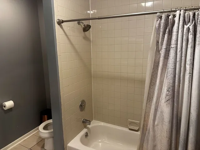 a bathroom with a shower and a toilet