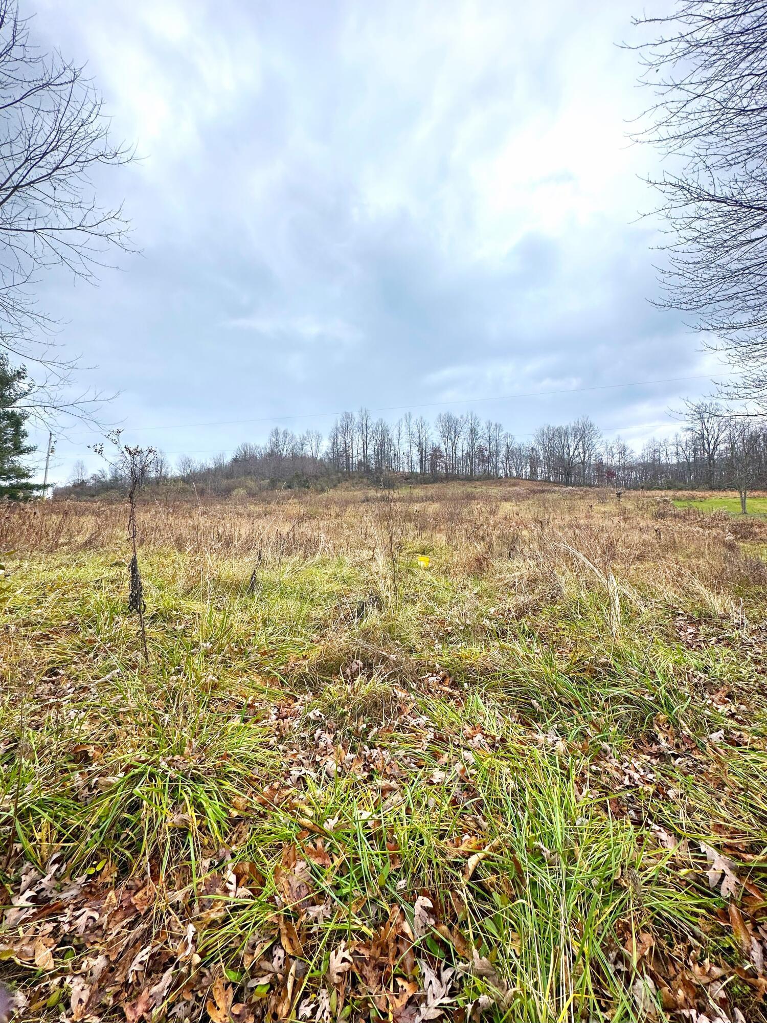 0 Murphy Road McArthur, OH 45651 - Photo 6 of 8 5. Murphy.jpg