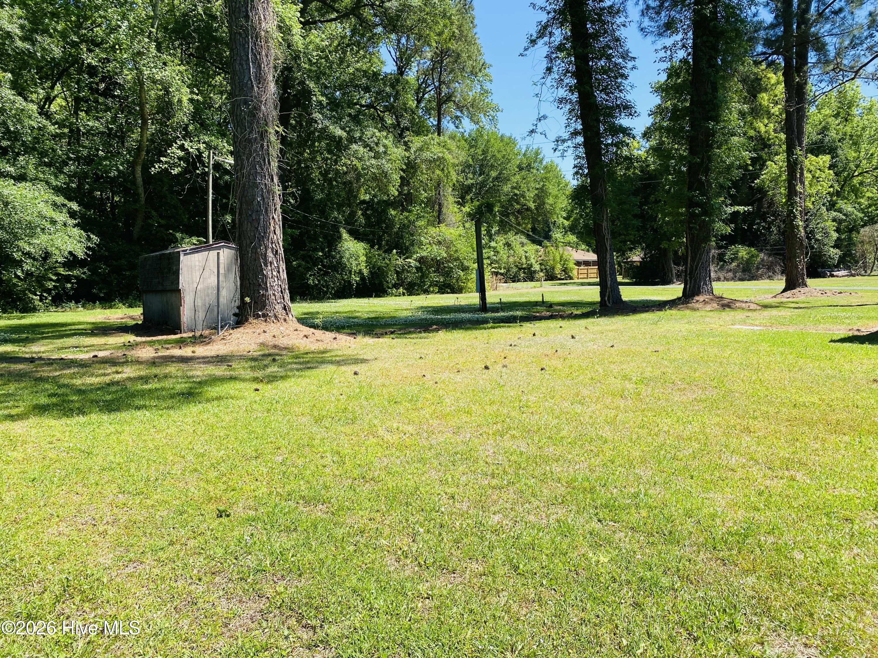 229 Mill Pond Road Whiteville, NC 28472 - Photo 12 of 42 IMG_1104