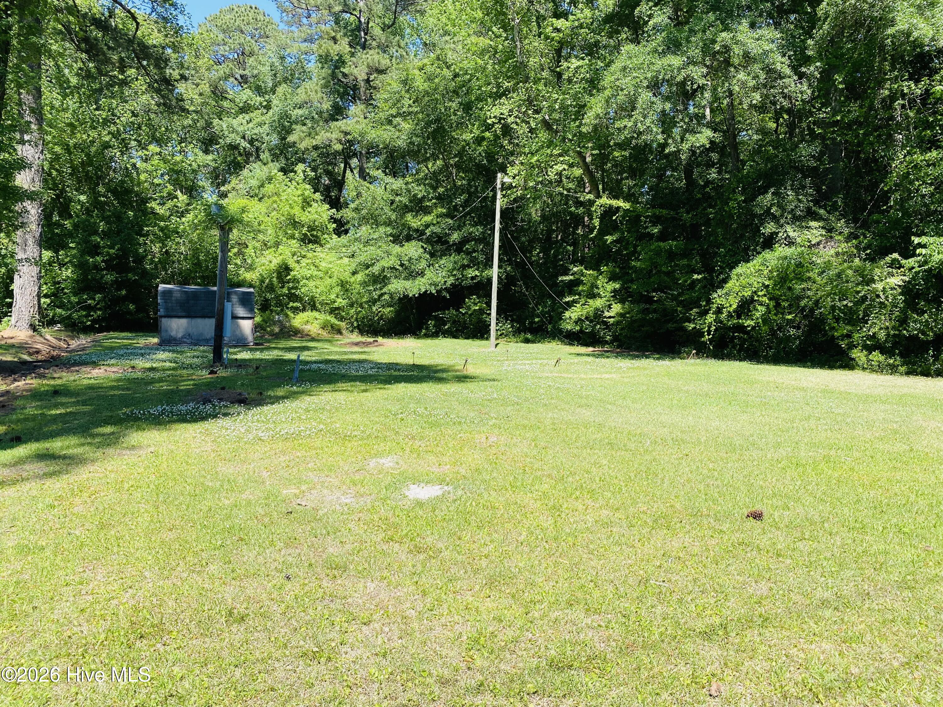 229 Mill Pond Road Whiteville, NC 28472 - Photo 14 of 42 IMG_1108