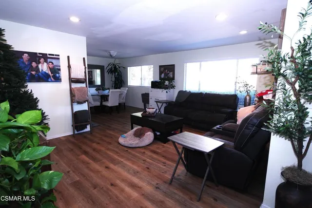 a living room with furniture potted plant and a window