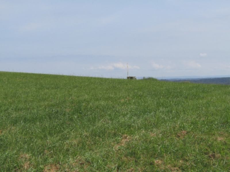 19 East Swan Ridge Road Celina, TN 38551 - Photo 13 of 19 a view of a field with plants and trees in the background