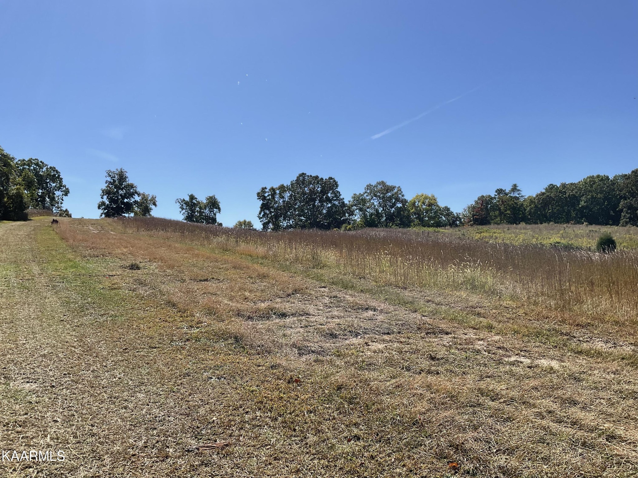 187 Cates Road Rockwood, TN 37854 - Photo 4 of 9 Gallery Image 4