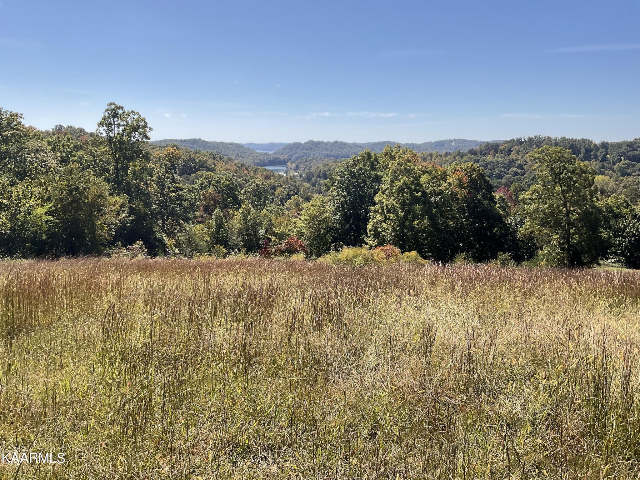 187 Cates Road Rockwood, TN 37854 - Photo 6 of 9 Gallery Image 6