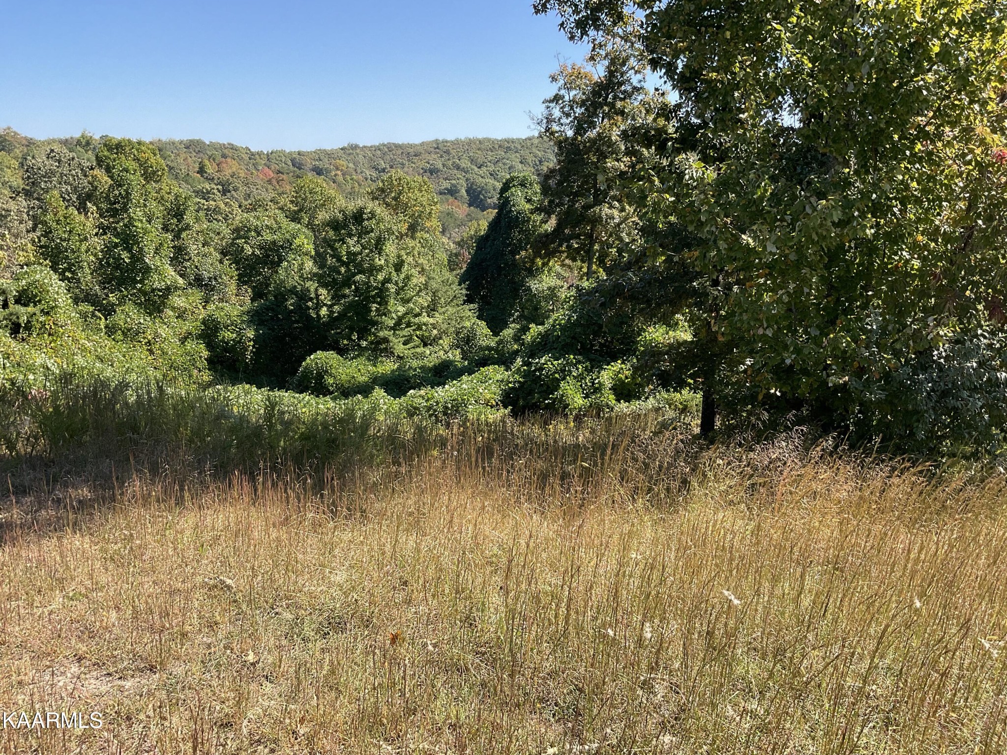 187 Cates Road Rockwood, TN 37854 - Photo 8 of 9 Gallery Image 8