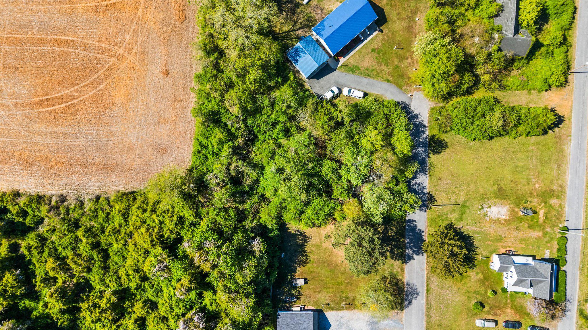 1548 Grant Road Stockton, MD 21864 - Photo 4 of 4 a view of a garden
