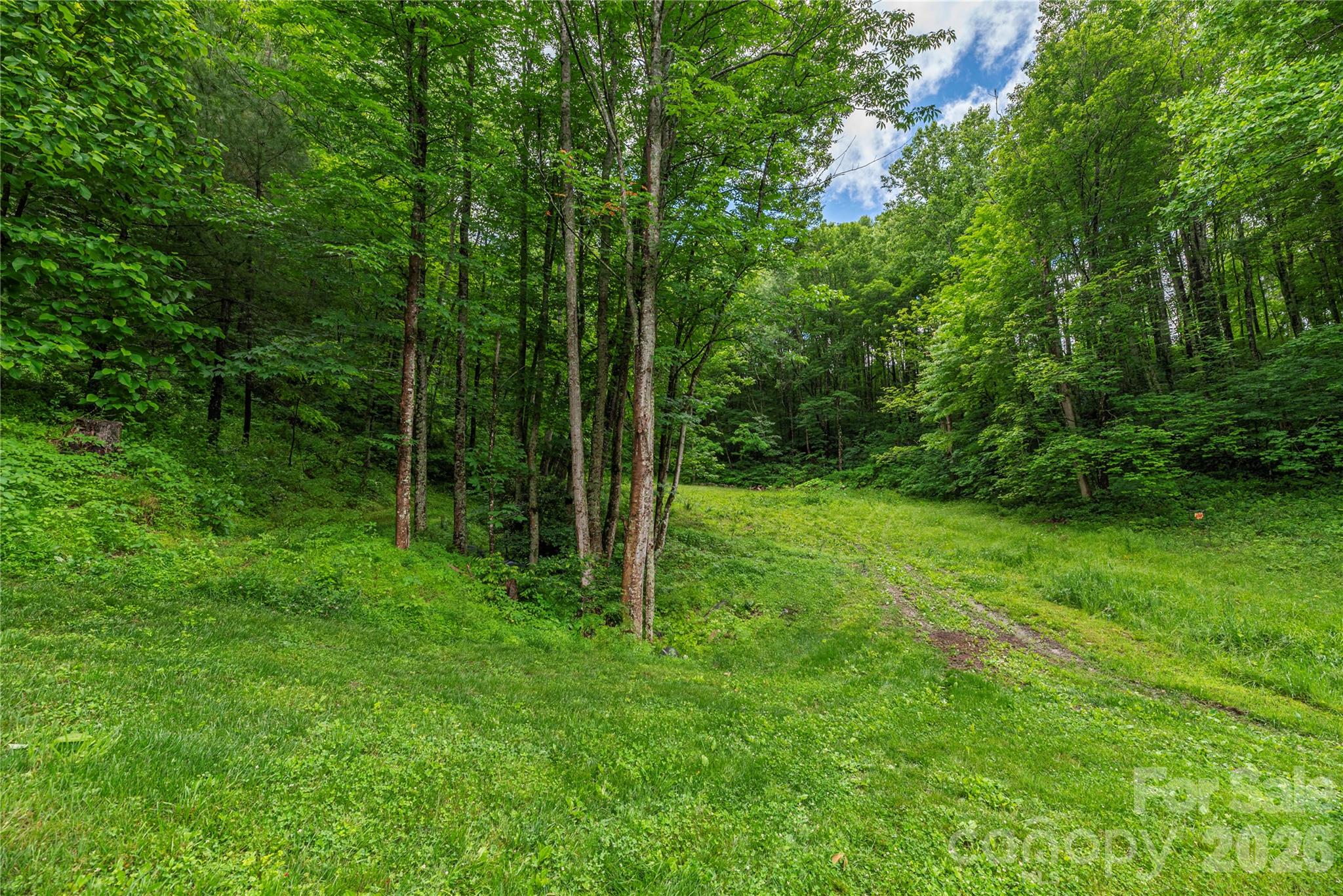 262 Gibson Branch Road Clyde, NC 28721 - Photo 24 of 28