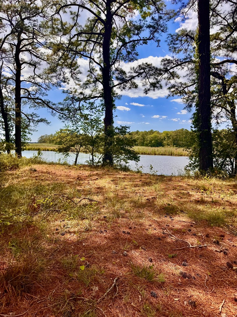 Lot 2 Miles Road, Unit 2A New Church, VA 23415 - Photo 5 of 9
