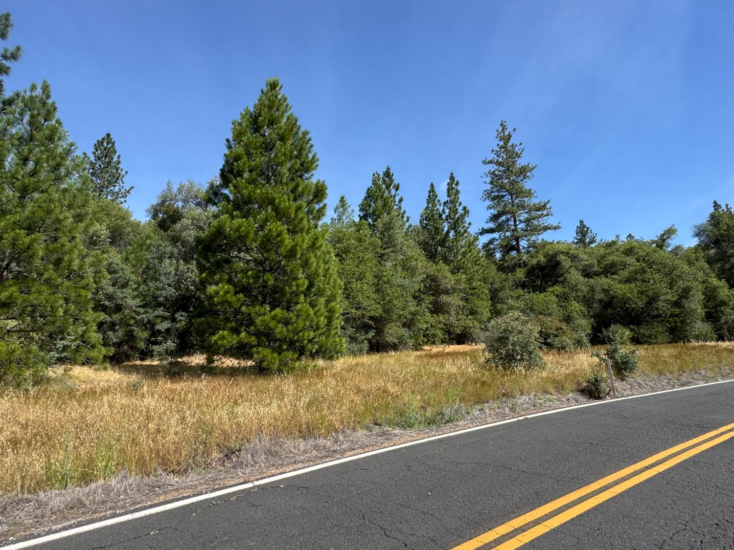0 French Gulch Road Murphys, CA 95247 - Photo 2 of 19