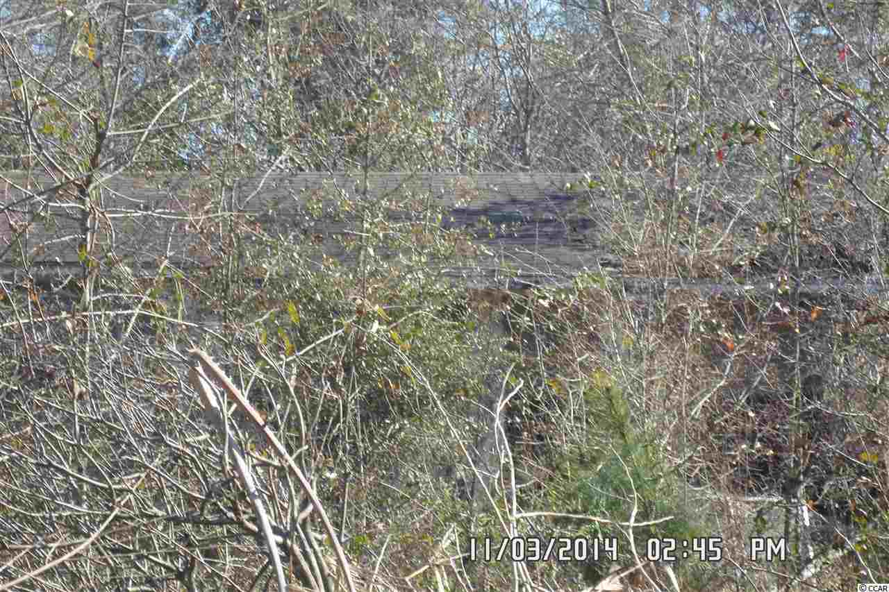 315 Sandridge Road Little River, SC 29566 - Photo 7 of 7 Gallery Image 7