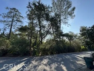 a view of backyard with green space