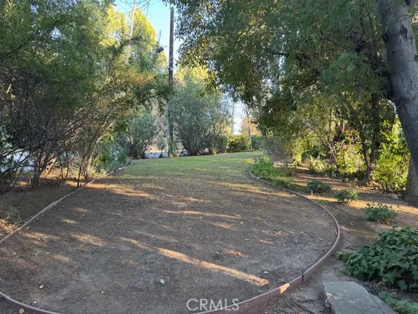 a view of a yard with large trees
