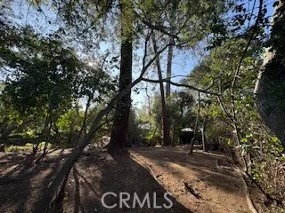 a view of a tree is standing in between the field