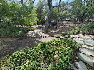 a pathway of a yard