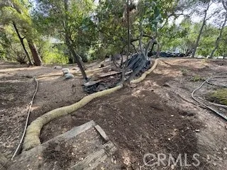 a view of a yard with plants and trees