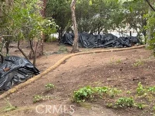a view of yard covered with snow