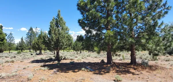 $18,000 | Lot 205-unt Douglas Court, Weed, CA 96094