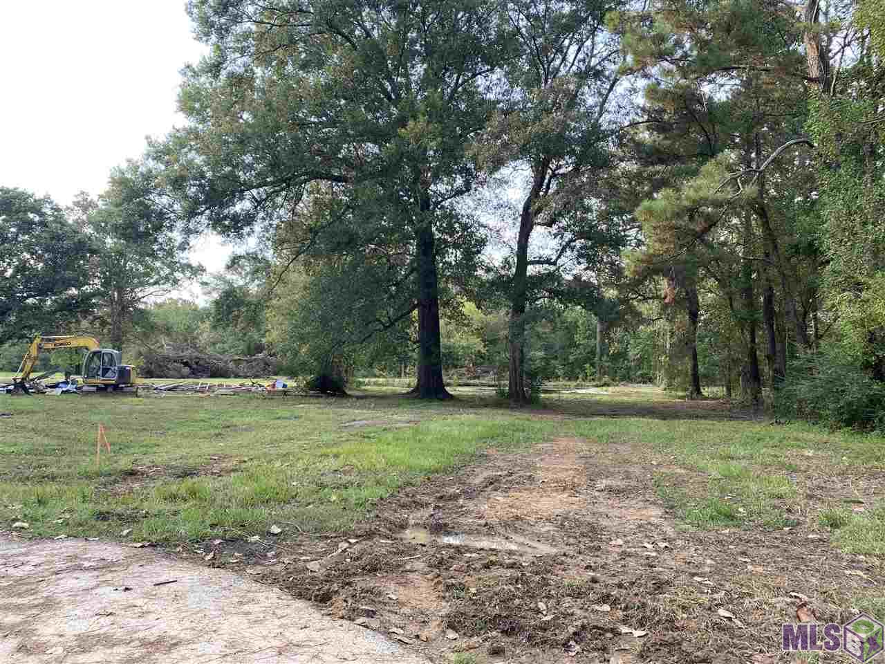 Lot Jb-2 George White Road Holden, LA 70744 - Photo 4 of 10