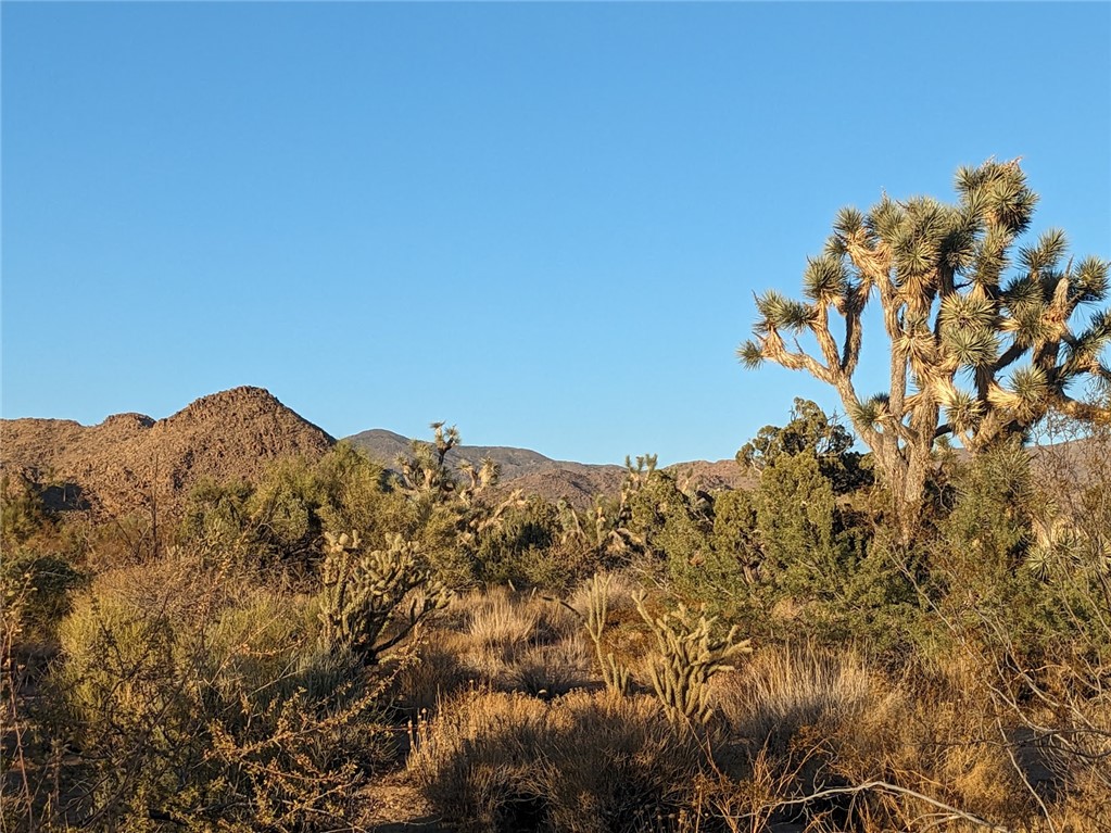 2624 South Gold Mine Road Yucca, AZ 86438 - Photo 14 of 15